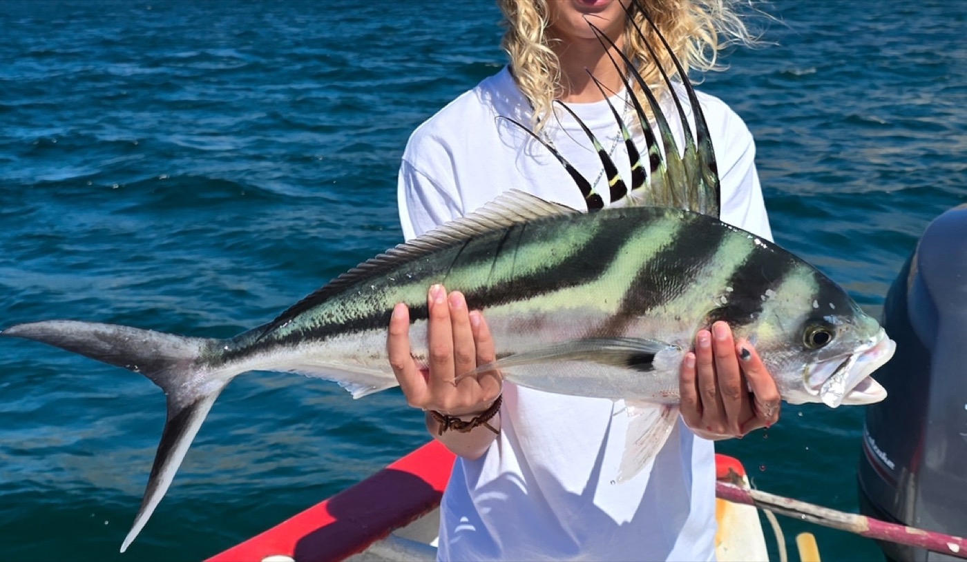 Roosterfish